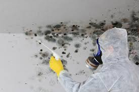 Best Commercial Mold Inspection  in Hornell, NY